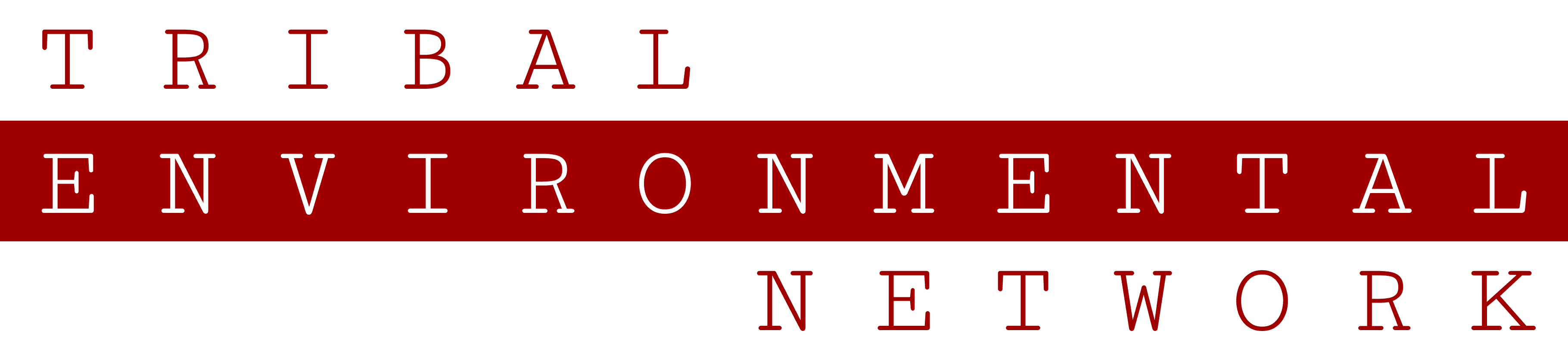 Tribal Energy Network logo